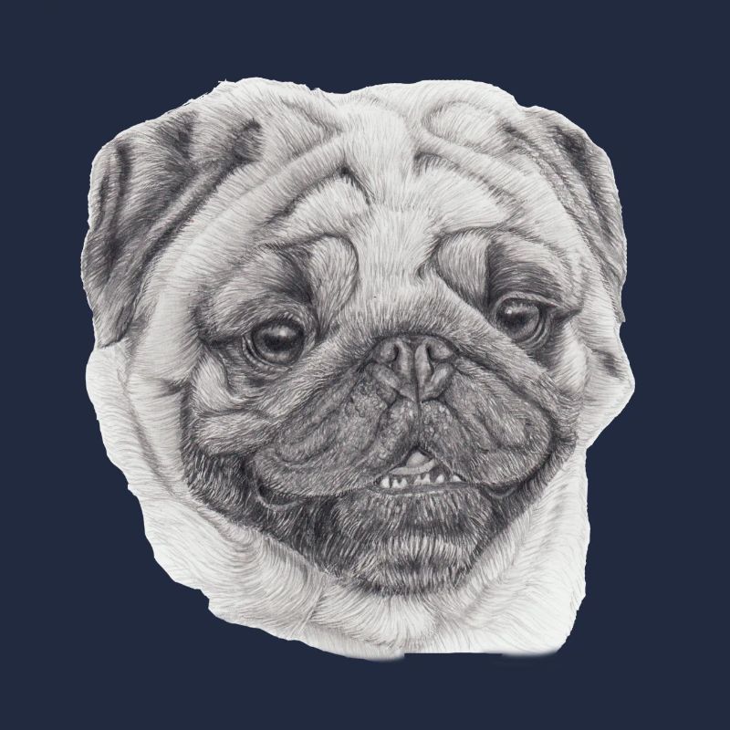 Mops Mops 2