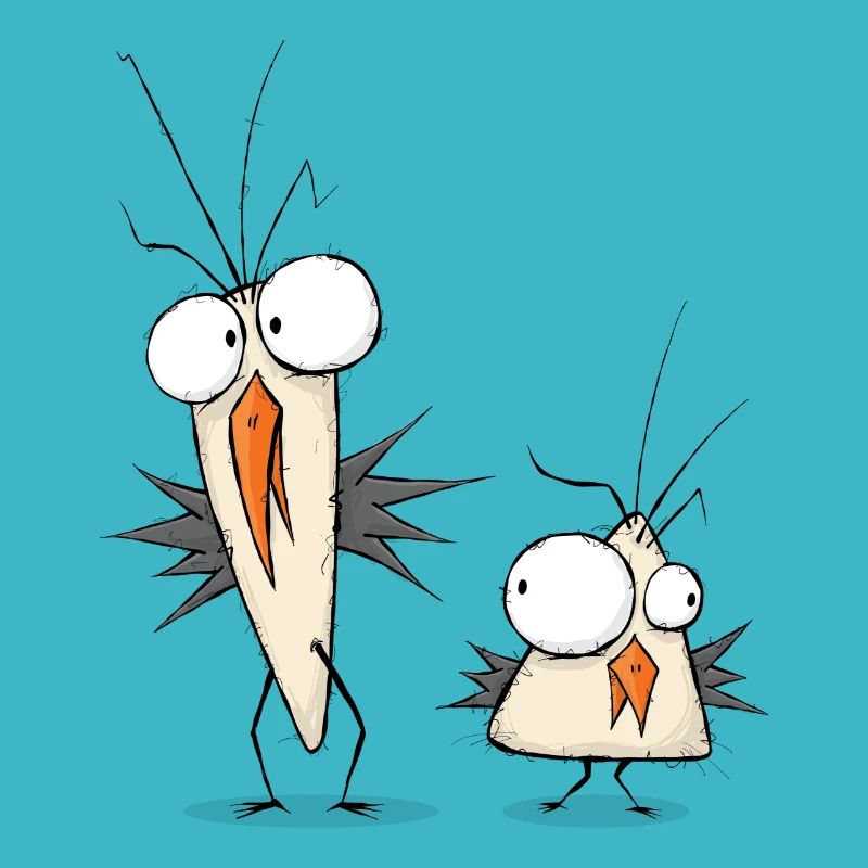 Freaky Birds