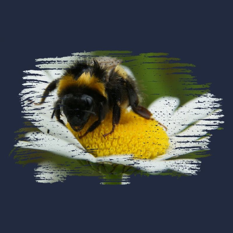 Bumblebees are wild bees