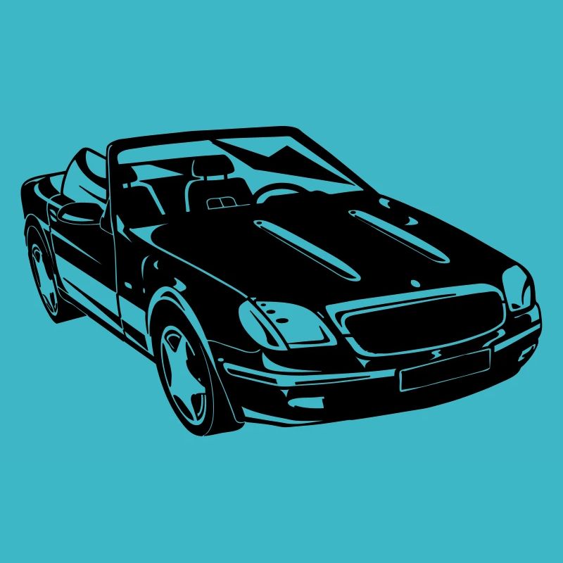 SLK Roadster Cabrio (25)
