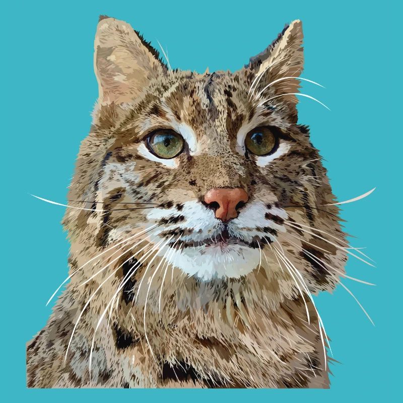 Luchs