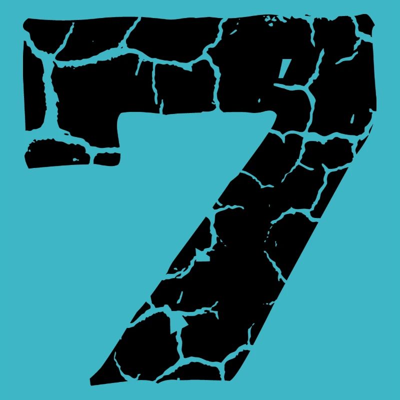 7 Number jersey