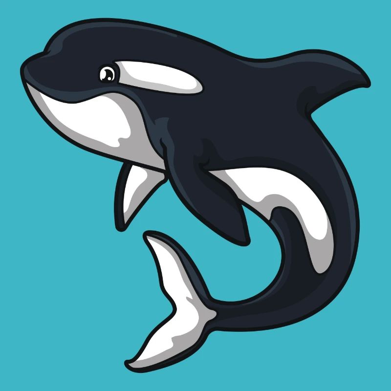Orca whale