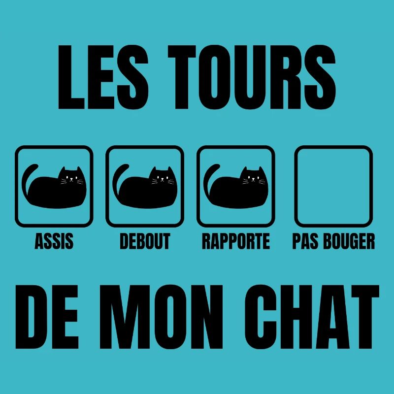 les tours de mon chat
