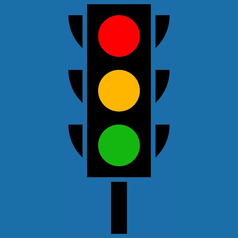 Traffic light driver's license driving school