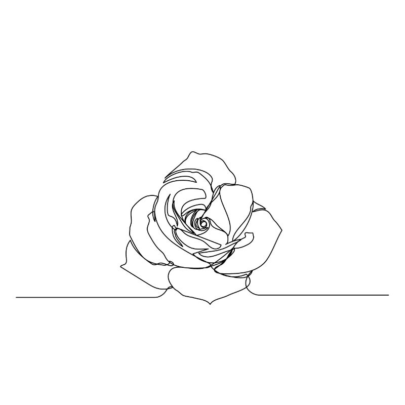 Rose one line drawing
