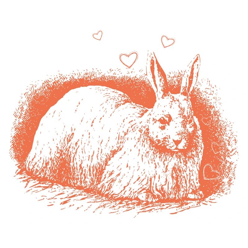 Retro Bunny with Hearts Easter Bunny