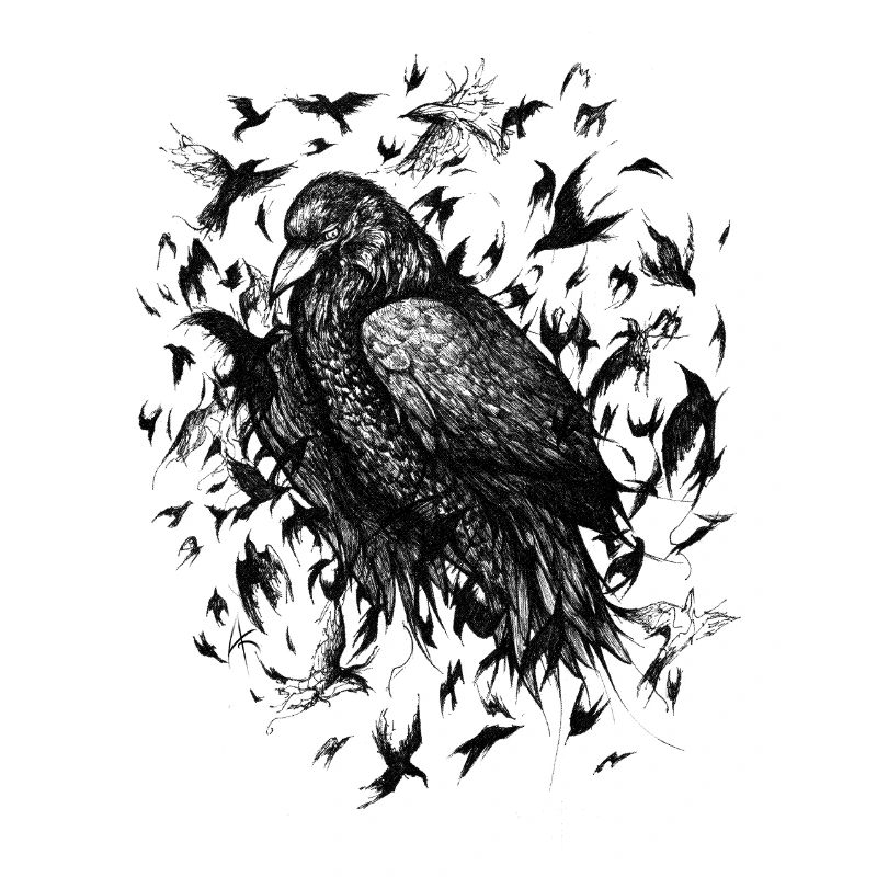 Crows