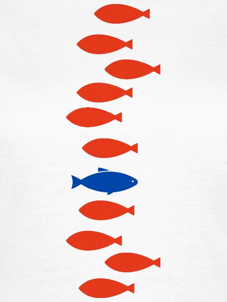 Single Fish