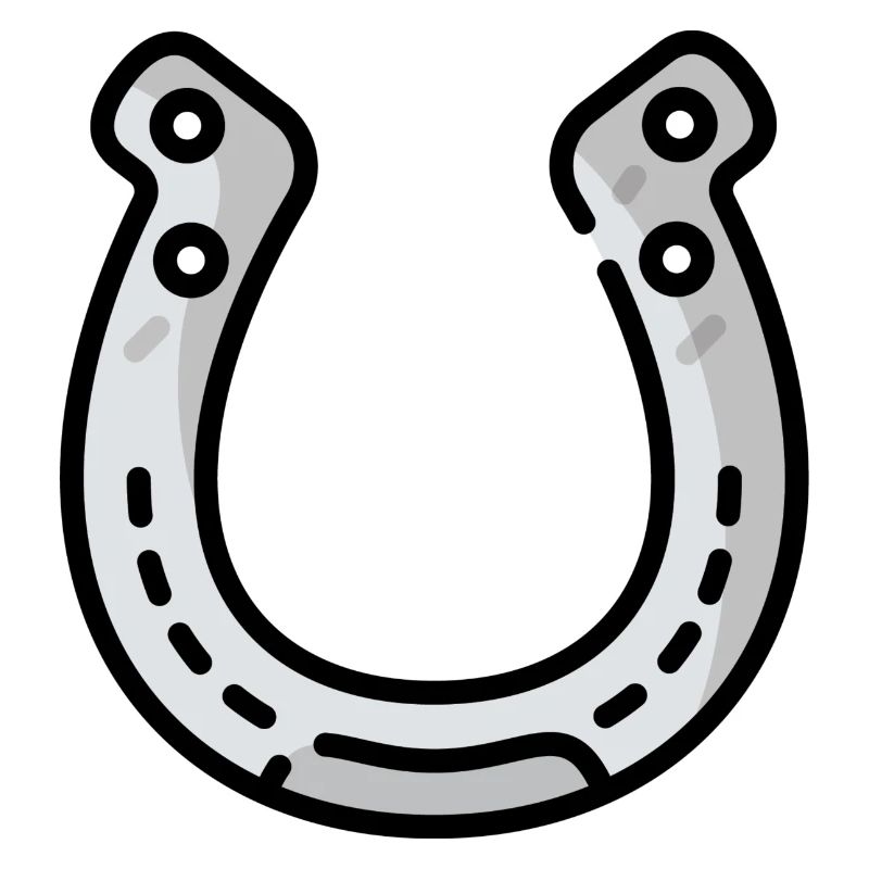 Horseshoe gift idea