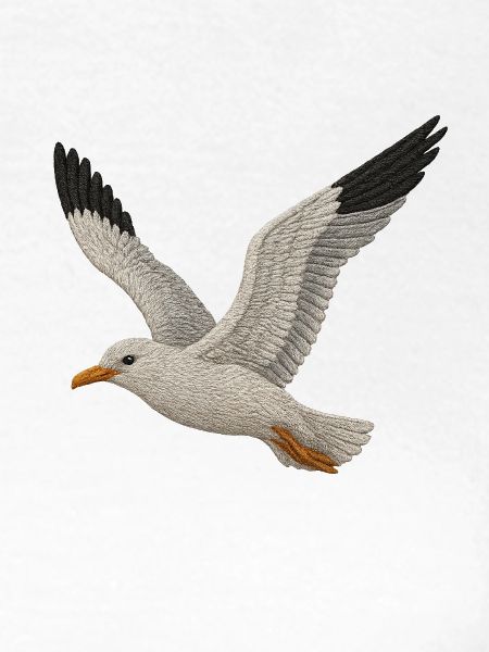 Möwe