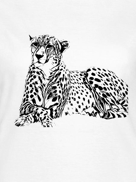Gepard