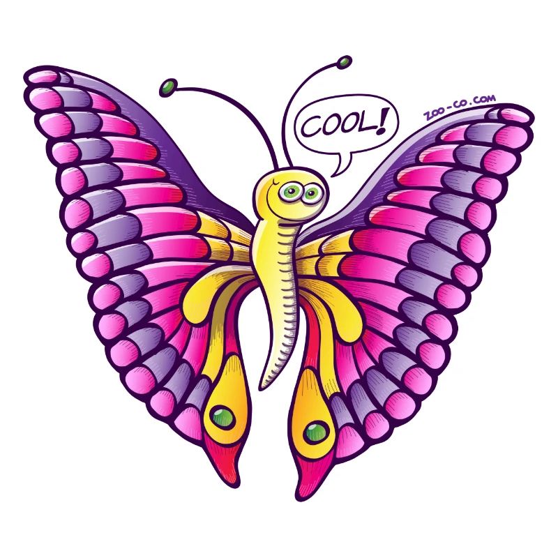 Papillon Coolorful