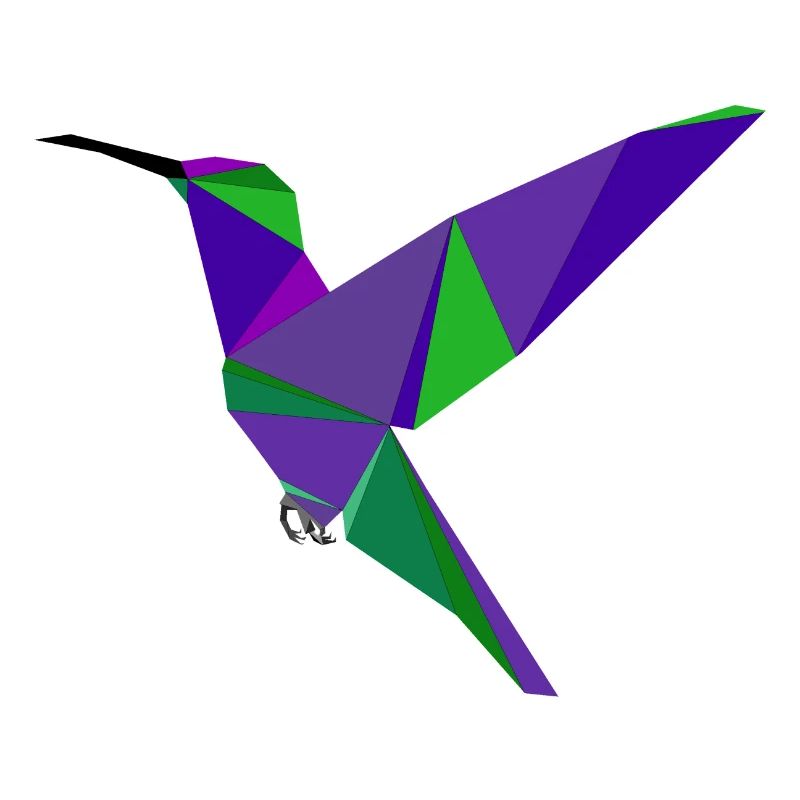 Oiseau de paradis, coloré, coloré
