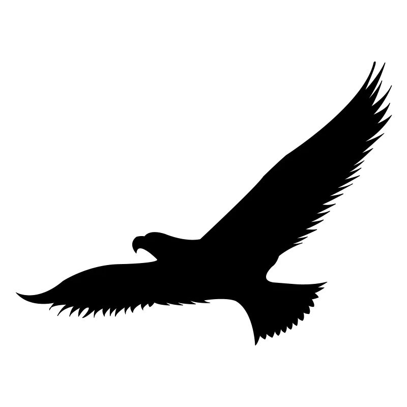 adler1