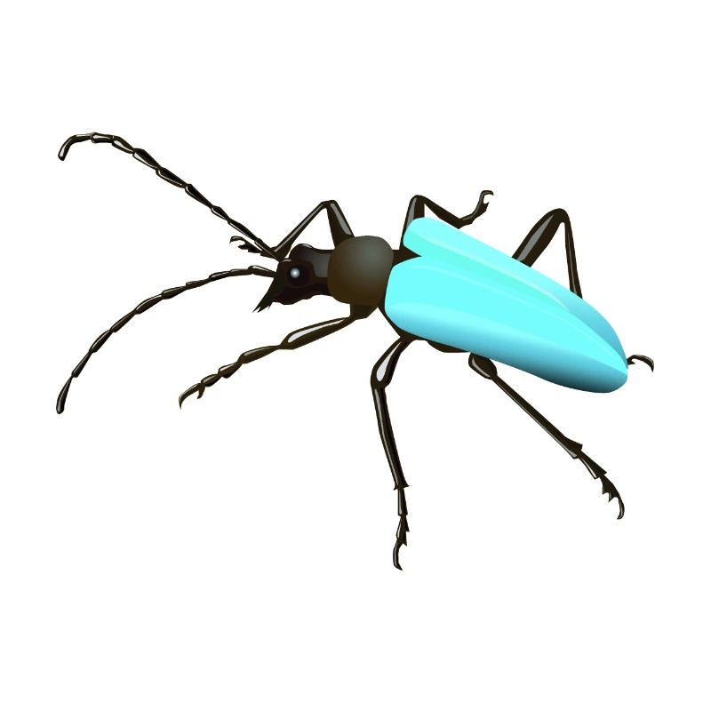 Bug - insecte