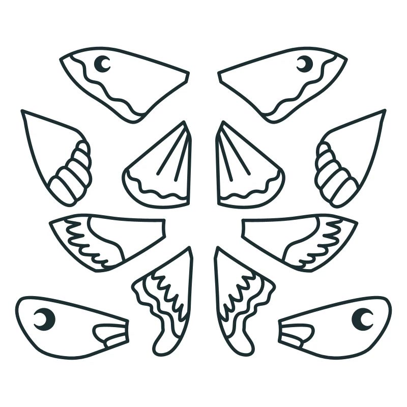 Sélection d’ailes de papillon de nuit