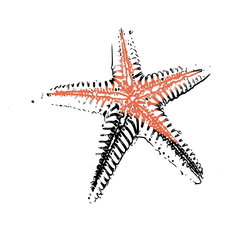 starfish