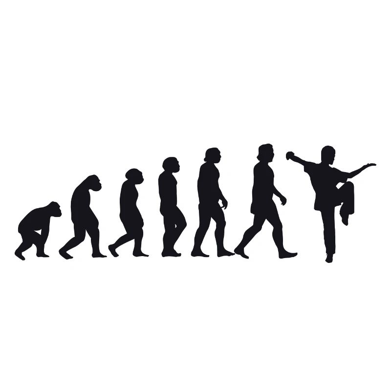 Évolution du Kung Fu