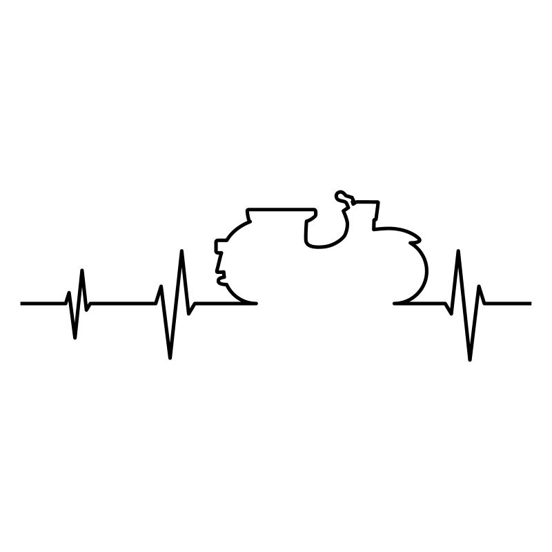 Simson Schwalbe ECG