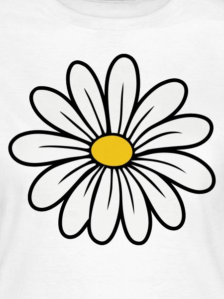Gänseblümchen
