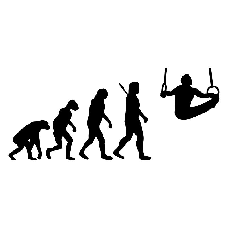 Evolution Geräteturnen - Turnen - Ringe