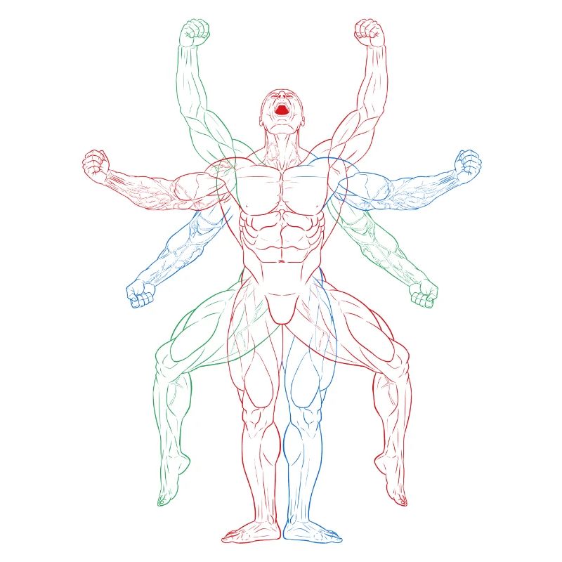 Muscles in motion