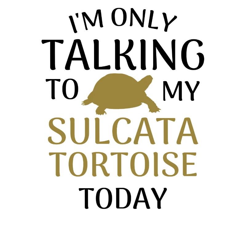 Spurred Tortoise Owner Spurred Tortoise Gift