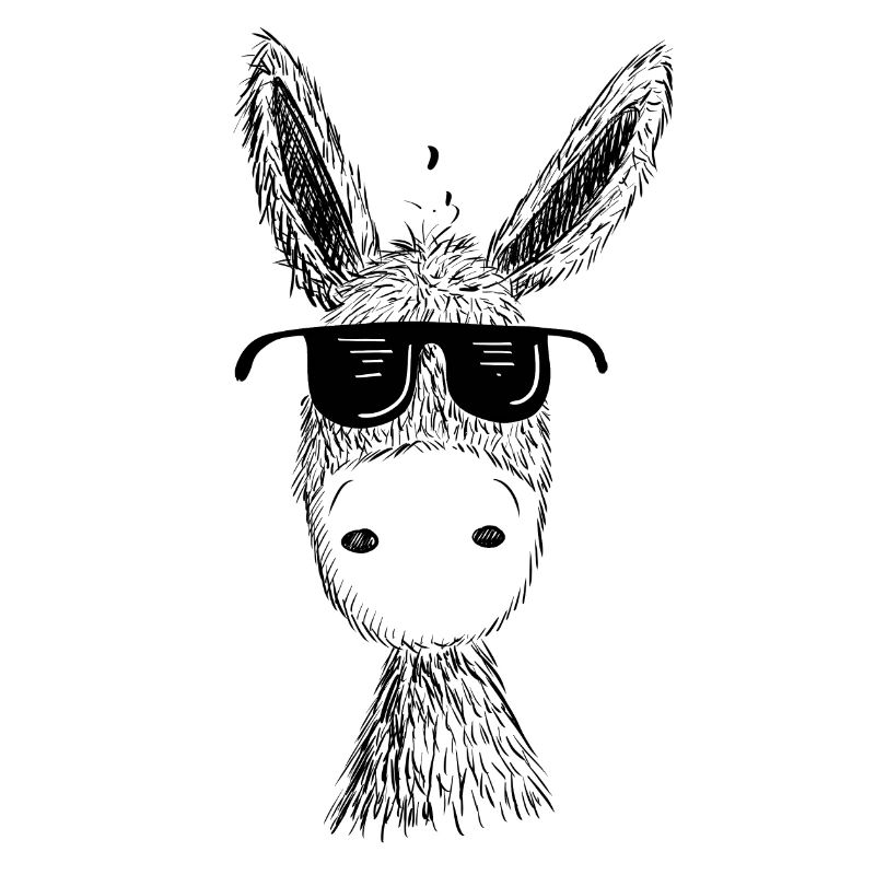 Cooler Esel mit Sonnenbrille I Muli I Geschenk