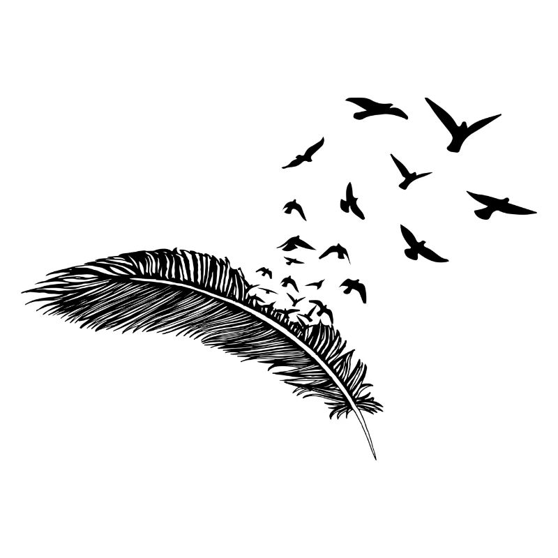Vogelfeder