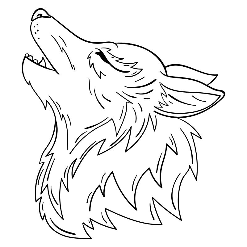 Loup