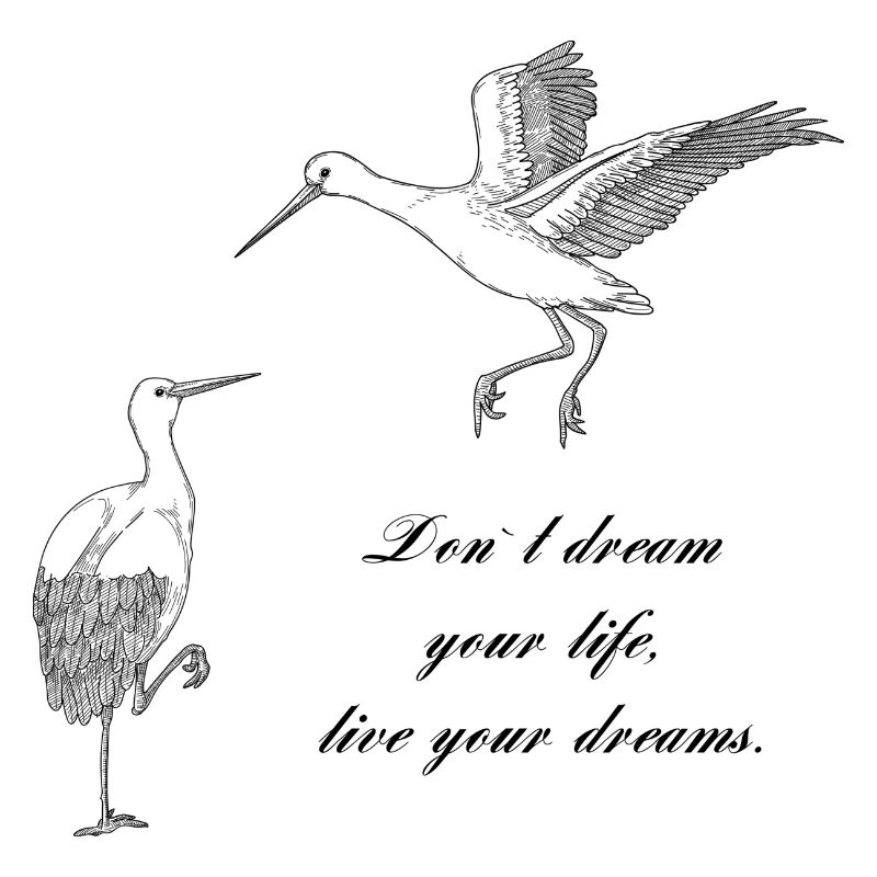 Storks
