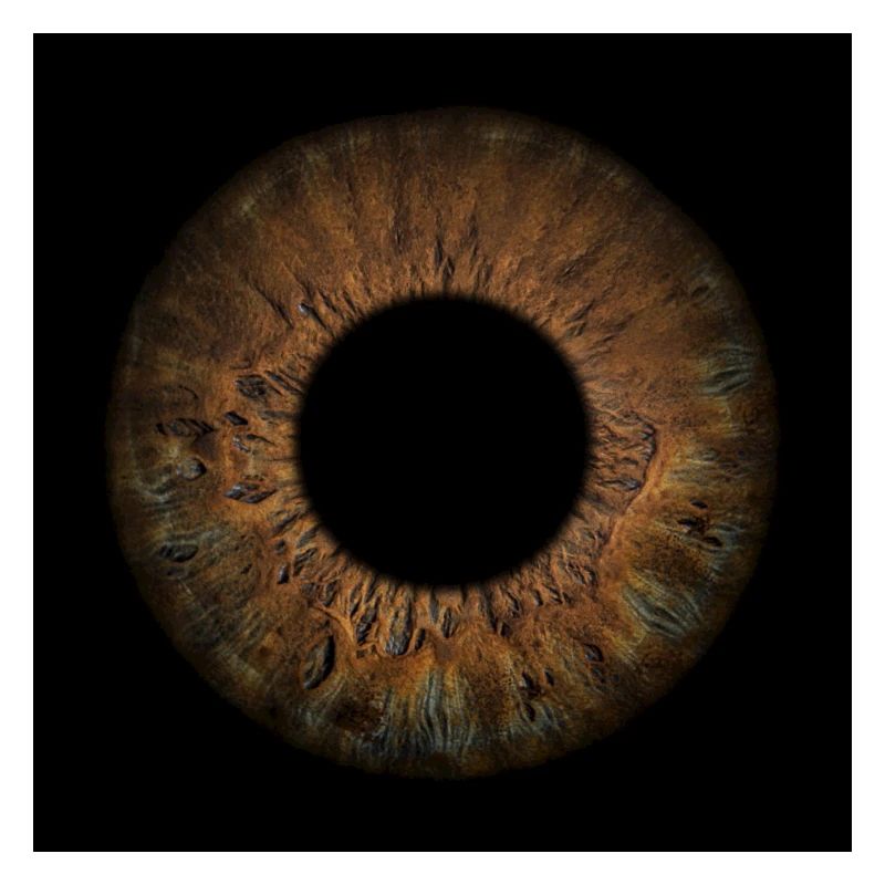 Deep Iris