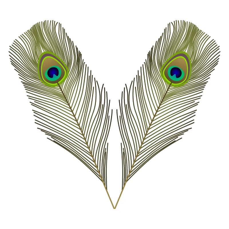 peacock feathers