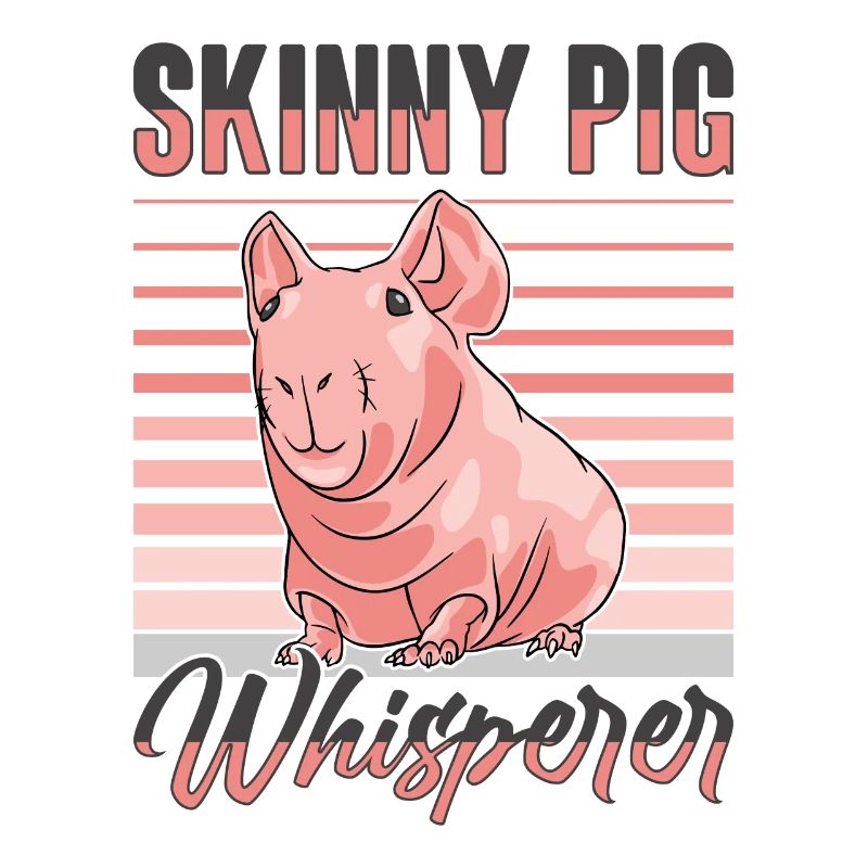 Cochon d’Inde sans poils Cochon maigre