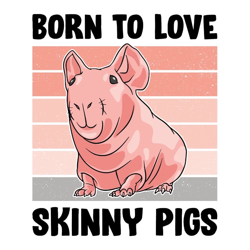 Cochon d’Inde sans poils Cochon maigre