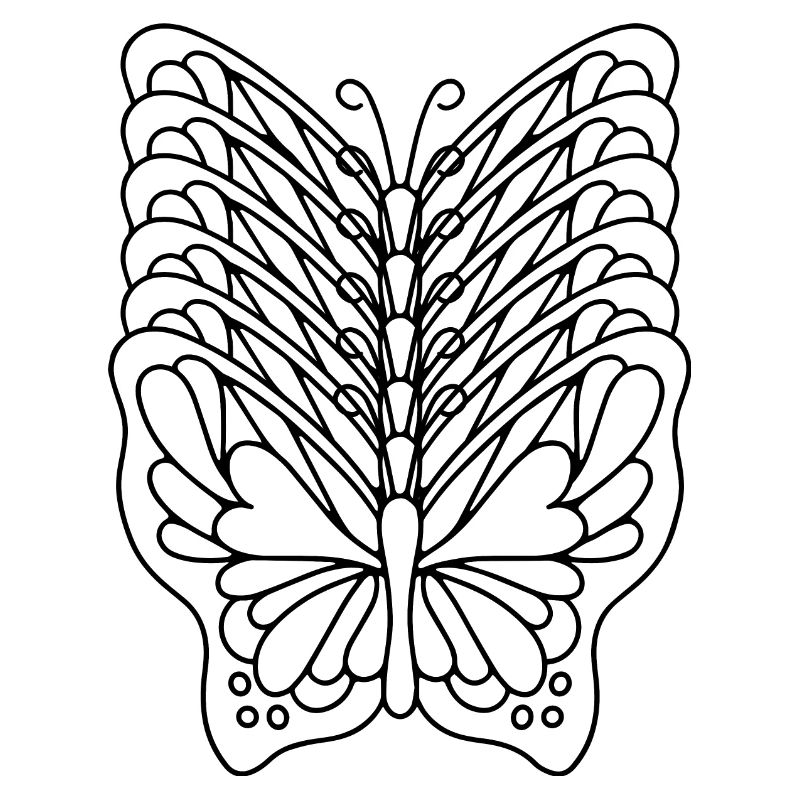Effet papillon