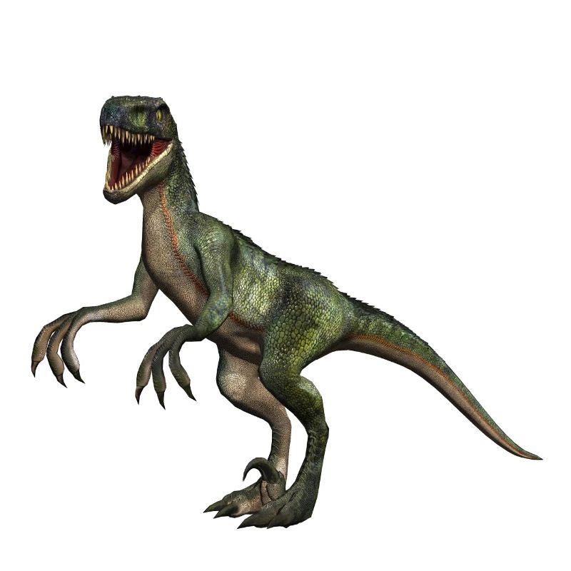 Velociraptor dinosaurs 4