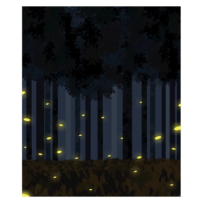 Forest firefly night