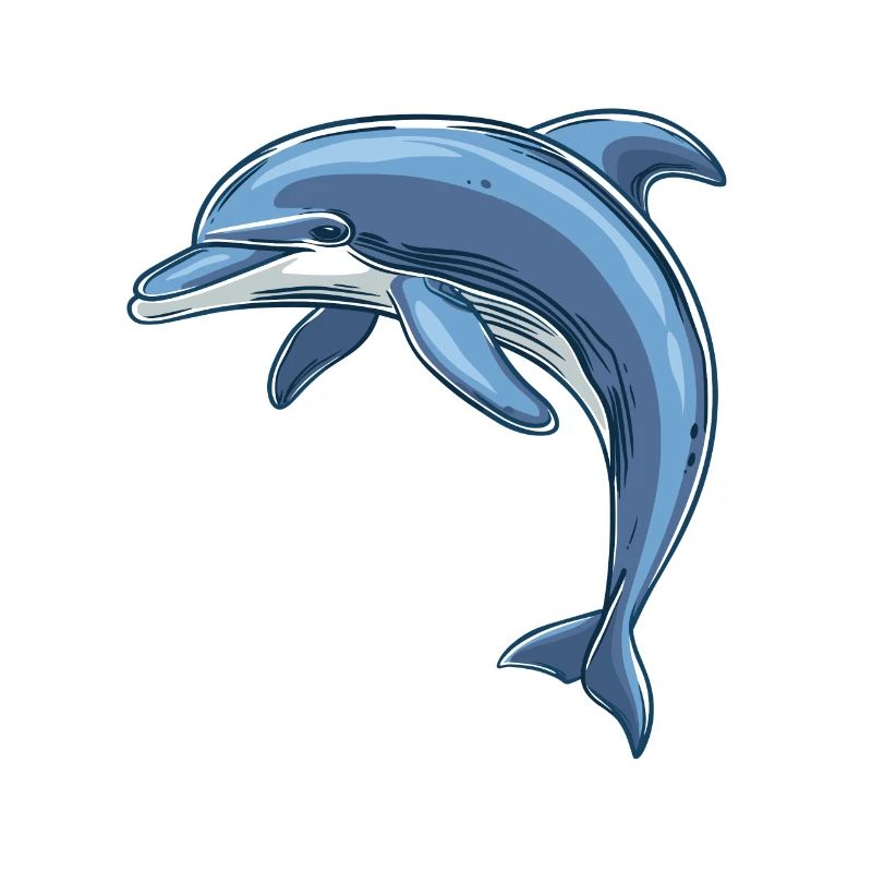 Delfin