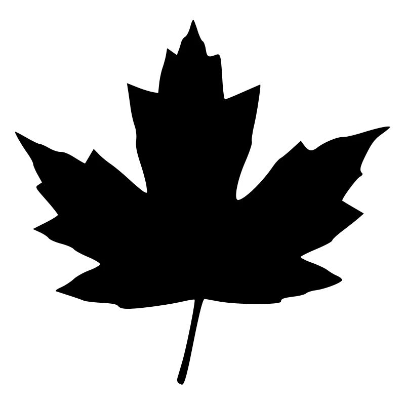 feuille d'érable