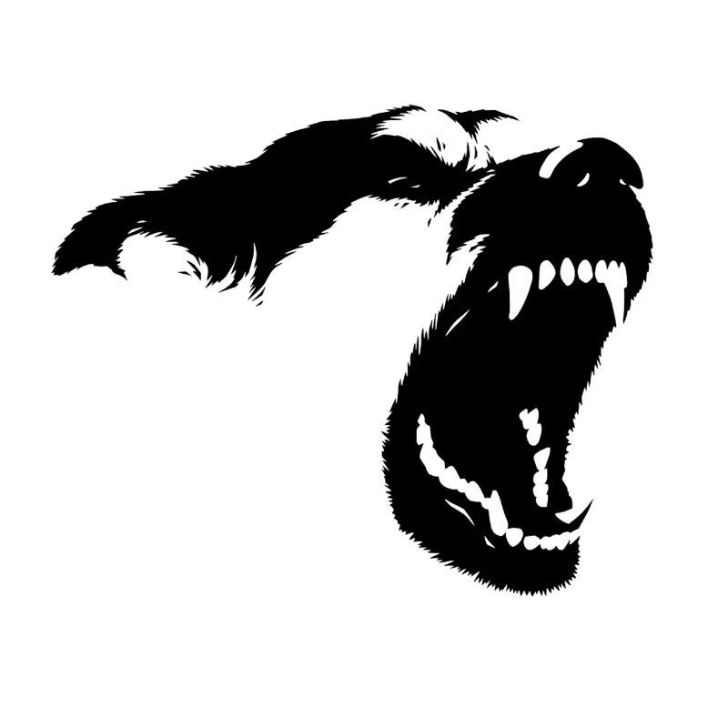 Barking dog