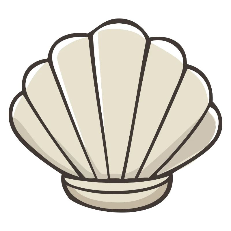 Shell - Sweet Scallop