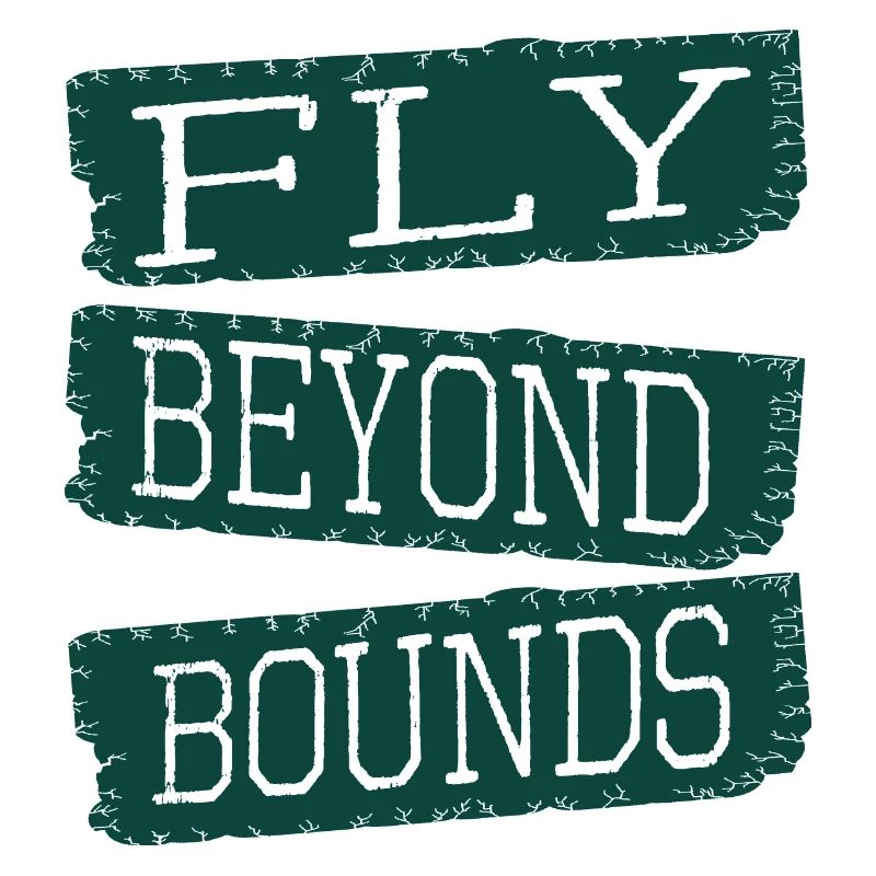 present imaginative minds innovative imagination