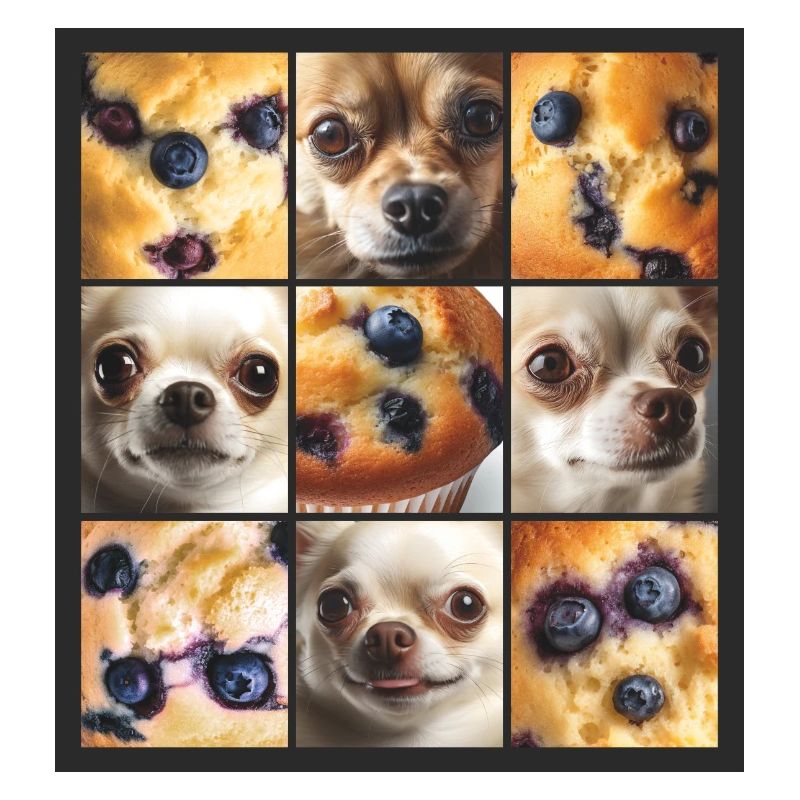 Chihuahua oder Muffin
