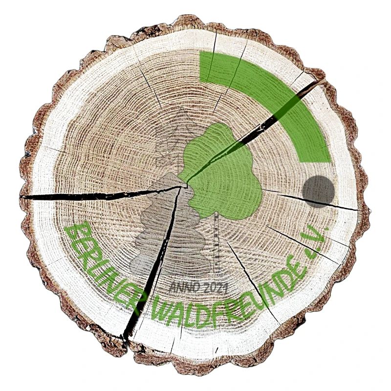 Tree slice original with logo on the inside