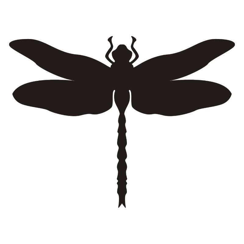 Libellule