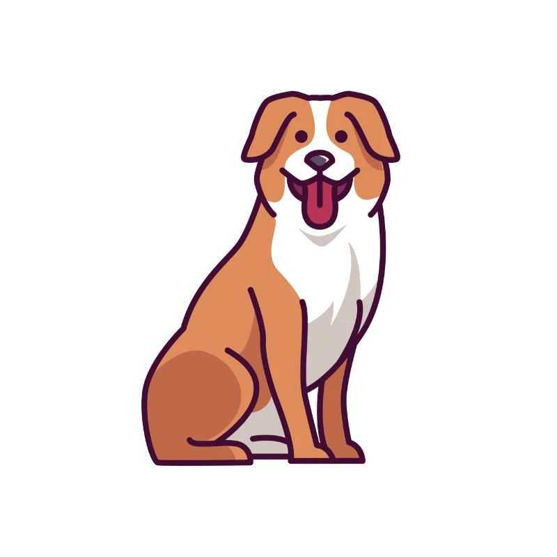 Australian Shepherd