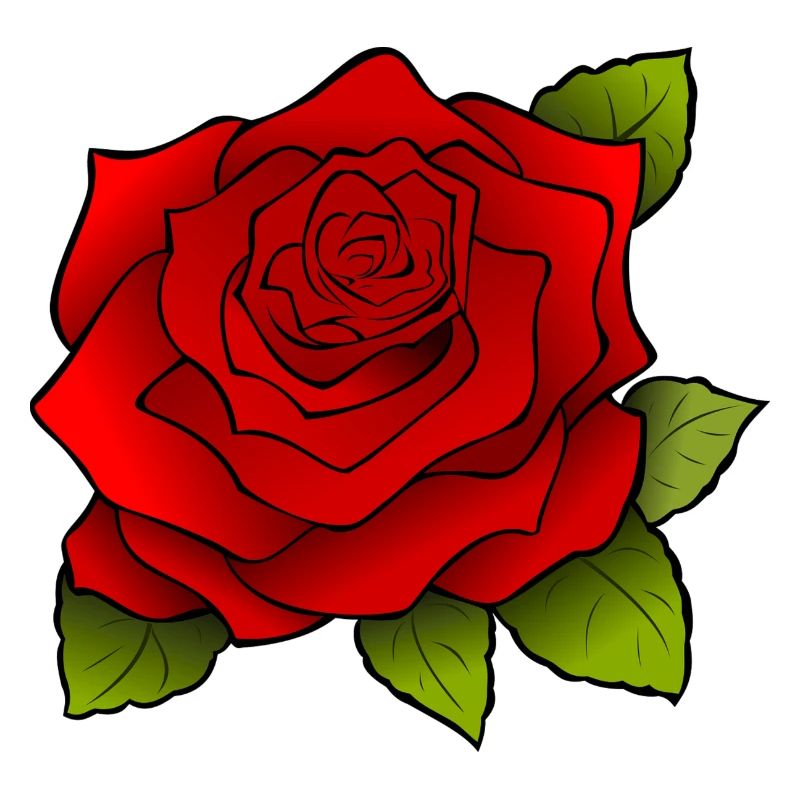 Rote Rose