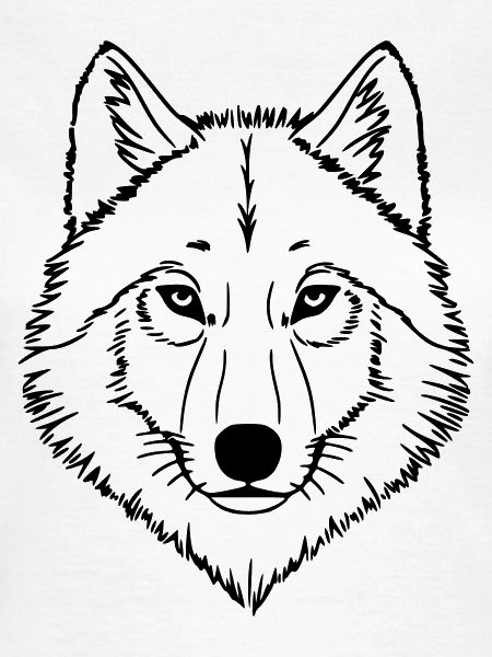 drawing Wolve